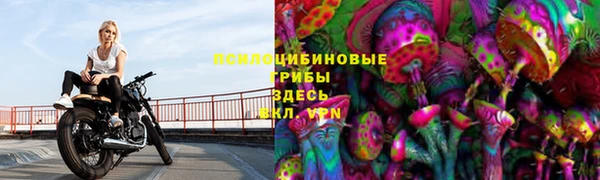 МДПВ Братск